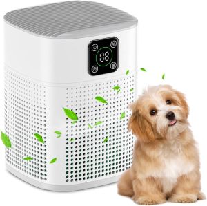 Breathe Easy: Honeyuan H13 HEPA Air Purifier Review for Large Bedrooms
